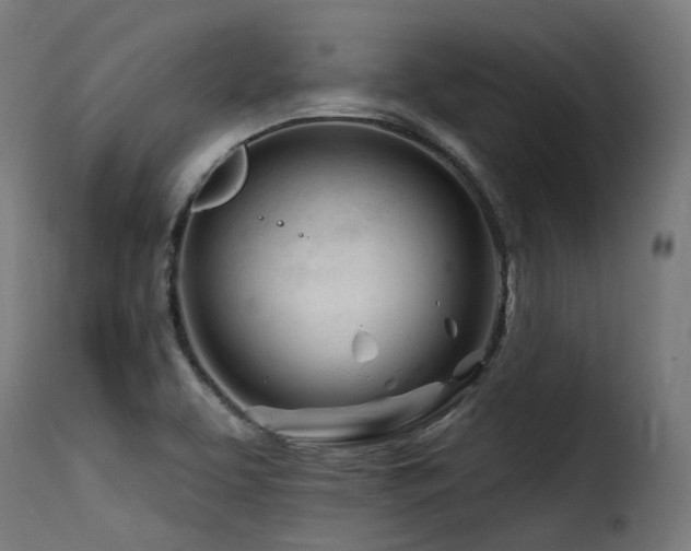 X0000116161463200911231353