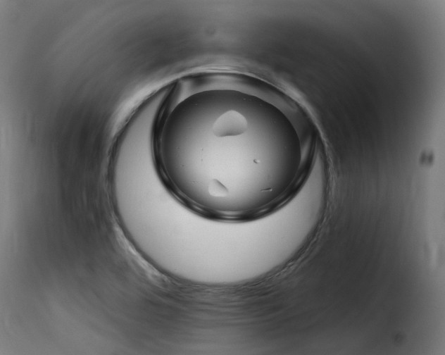 X0000116161464200911231353