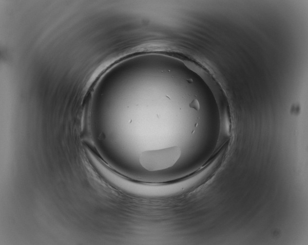 X0000116161465200911231353