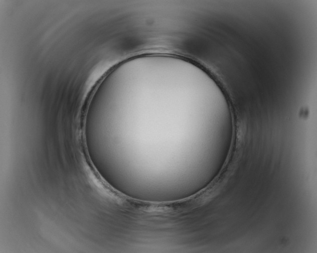X0000116161466200911231353