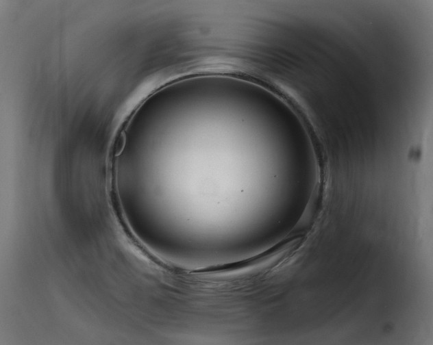 X0000116161467200911231353