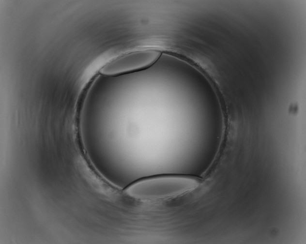 X0000116161469200911231353