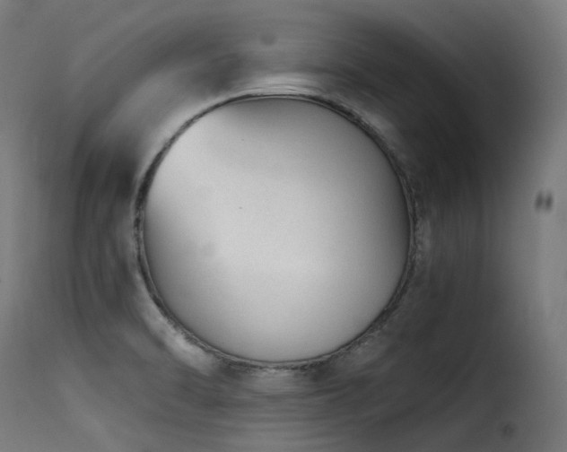 X0000116161470200911231353