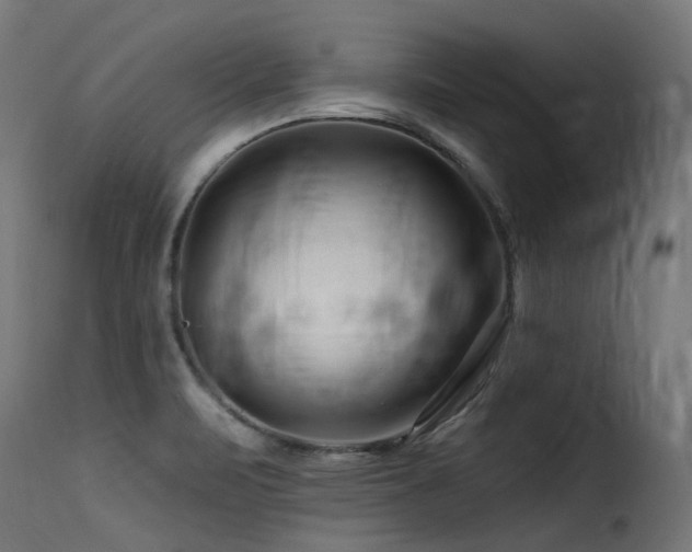 X0000116161471200911231353