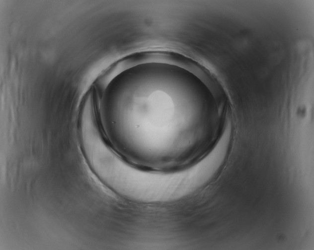 X0000116161472200911231353
