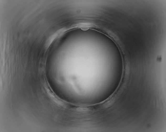 X0000116161473200911231353