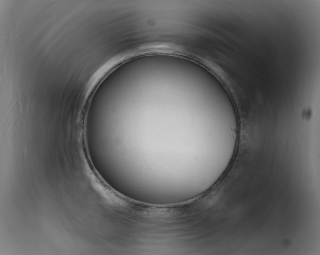 X0000116161474200911231353