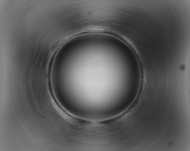 X0000116161475200911231353