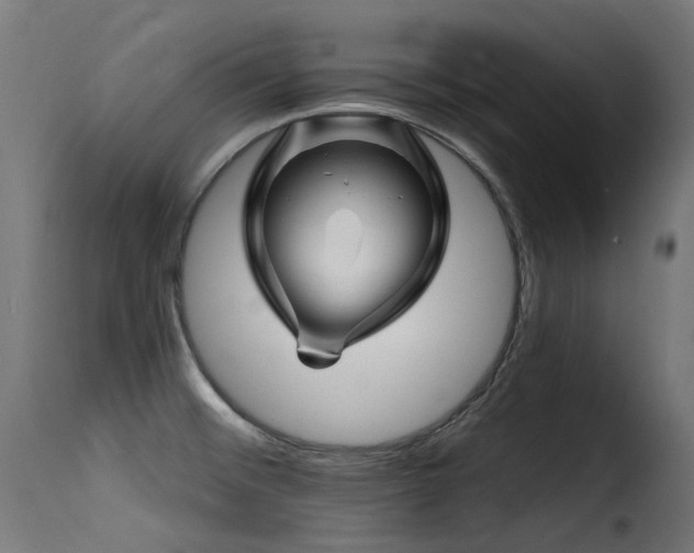 X0000116161476200911231353