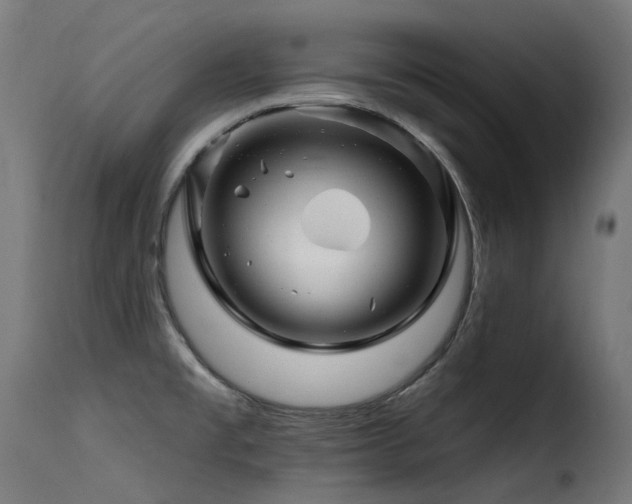 X0000116161477200911231353