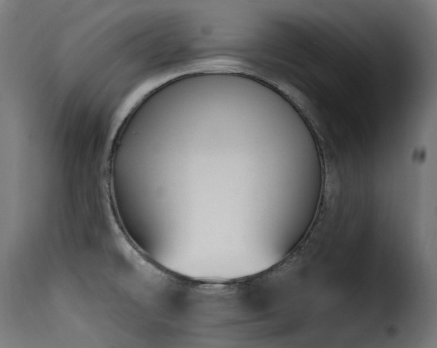X0000116161478200911231353