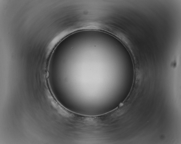 X0000116161480200911231353