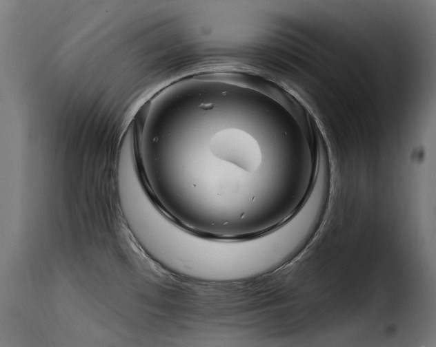 X0000116161481200911231353