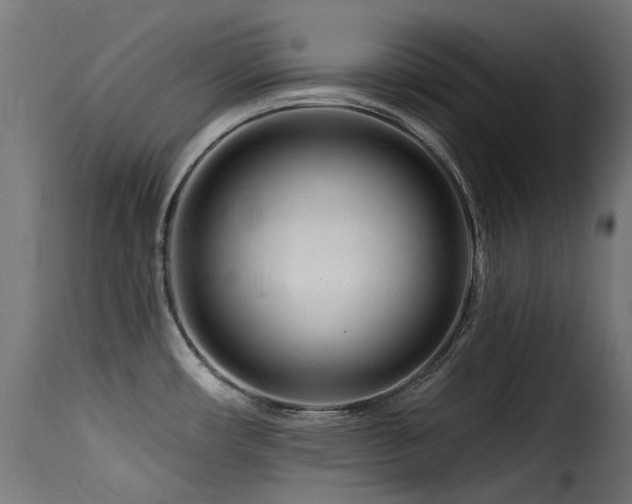 X0000116161482200911231353