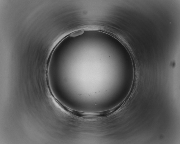 X0000116161484200911231353