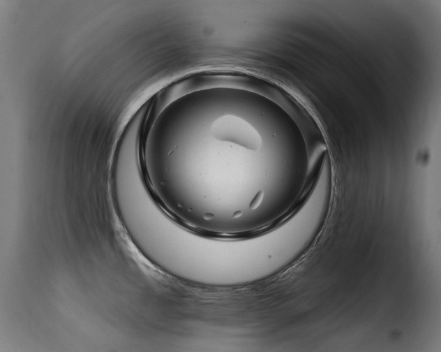 X0000116161485200911231353