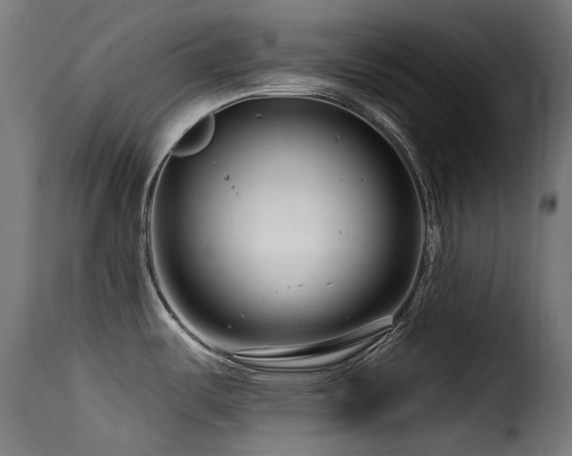 X0000116161487200911231353