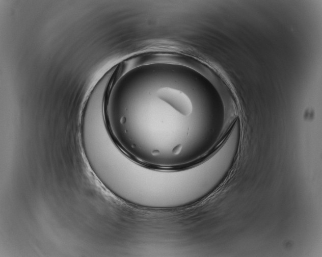 X0000116161488200911231353