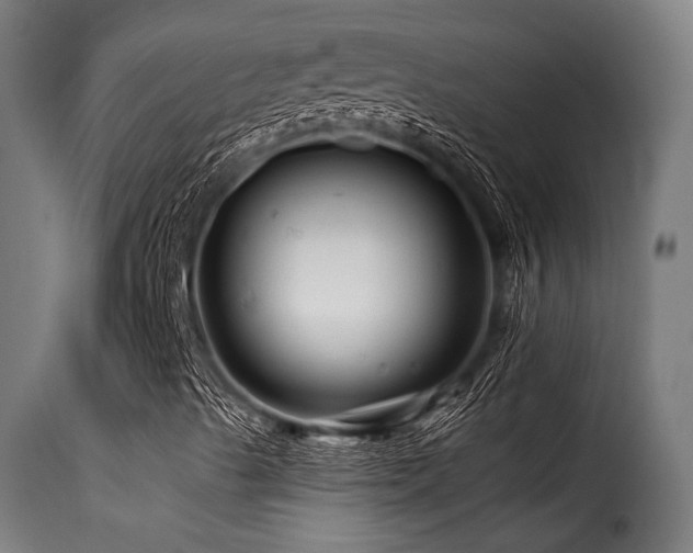 X0000116161489200911231352