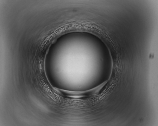 X0000116161490200911231352