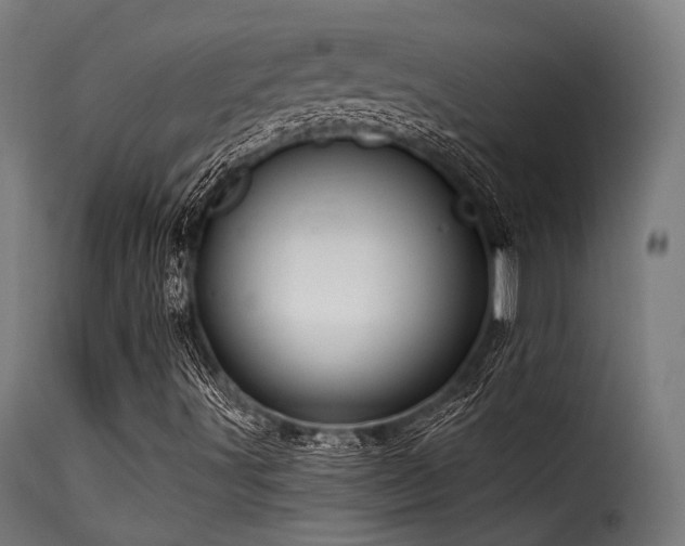 X0000116161491200911231352