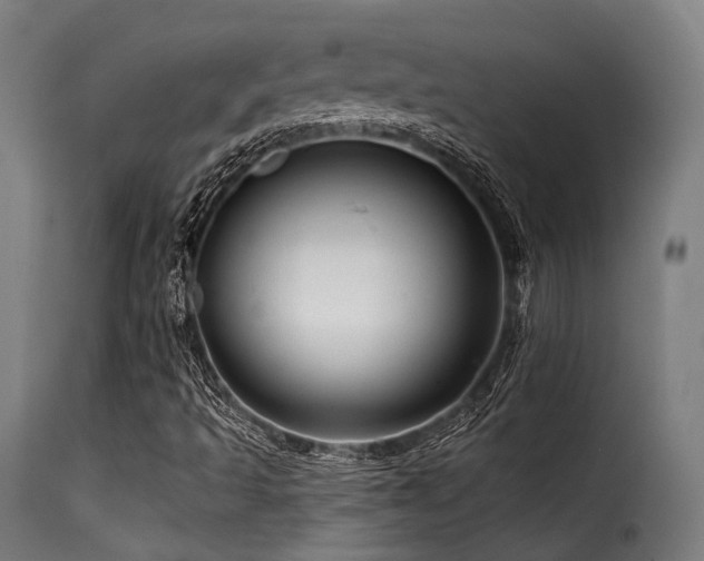 X0000116161493200911231352