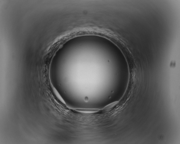 X0000116161494200911231352