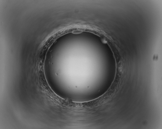 X0000116161495200911231352