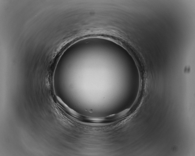 X0000116161497200911231352
