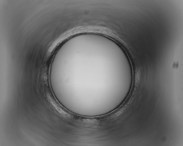 X0000116161498200911231352