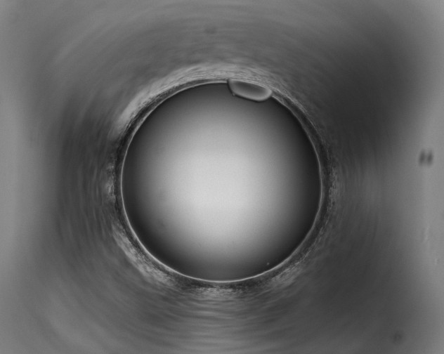 X0000116161499200911231352