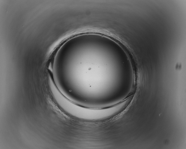 X0000116161502200911231352