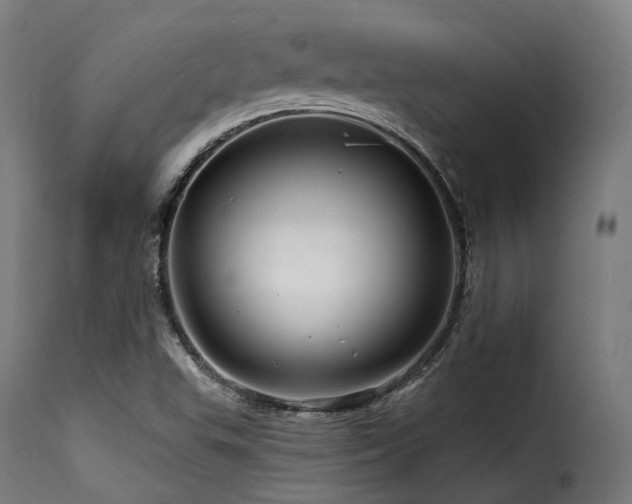 X0000116161503200911231352