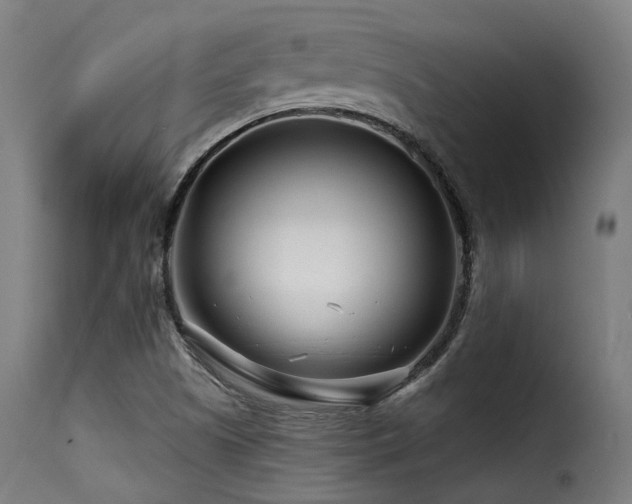 X0000116161505200911231352