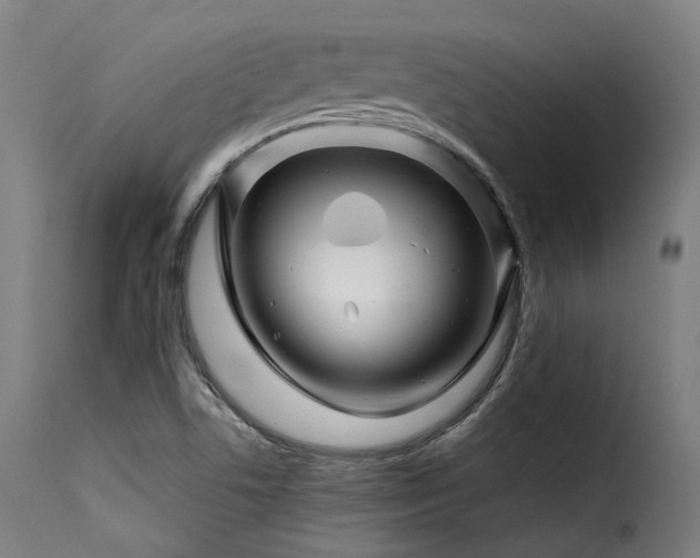 X0000116161506200911231352
