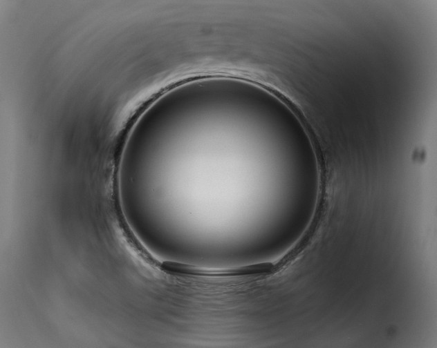 X0000116161507200911231352