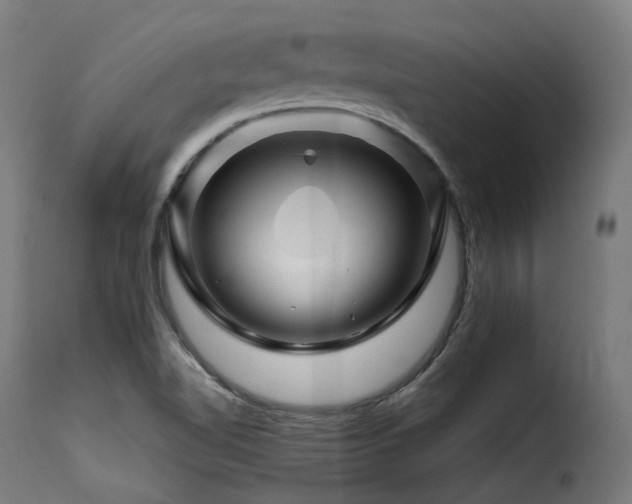 X0000116161510200911231352