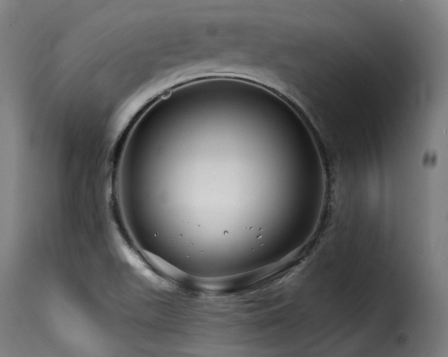 X0000116161511200911231352