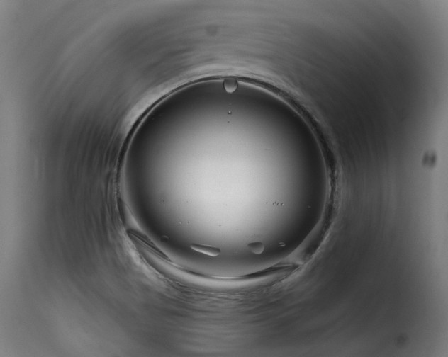 X0000116161513200911231352