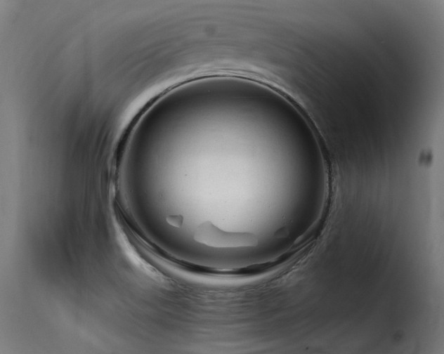 X0000116161515200911231352