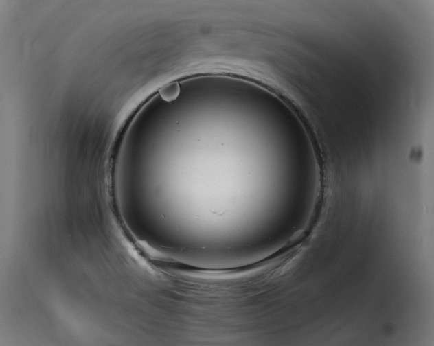X0000116161517200911231352