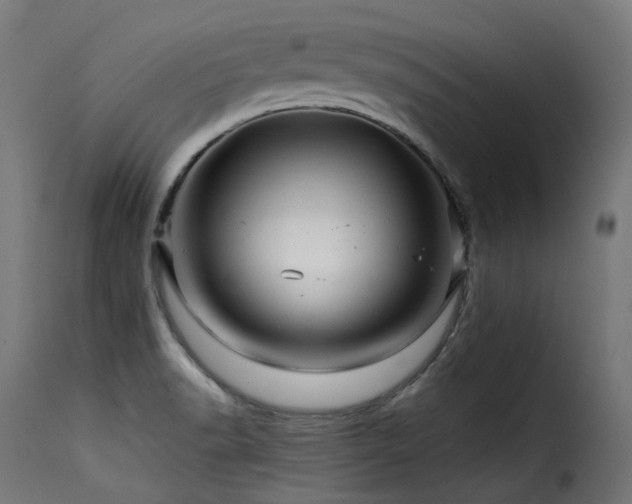 X0000116161518200911231353