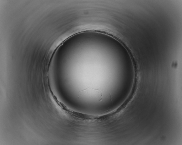 X0000116161521200911231353