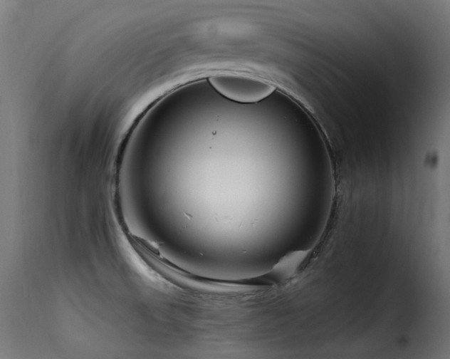 X0000116161523200911231353