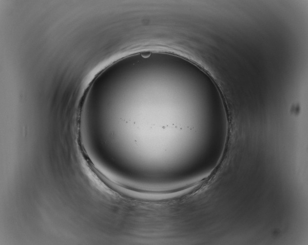 X0000116161526200911231353