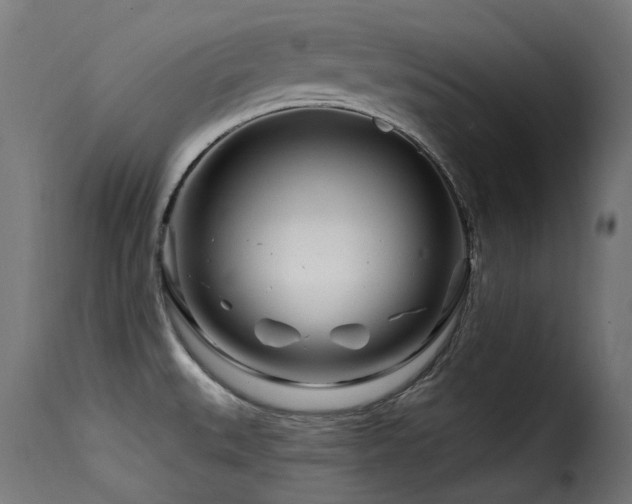 X0000116161527200911231353