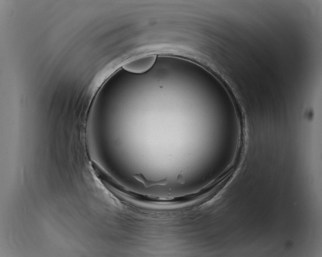 X0000116161529200911231353