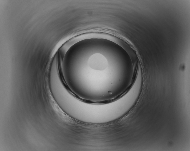 X0000116161530200911231353