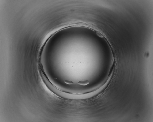 X0000116161531200911231353