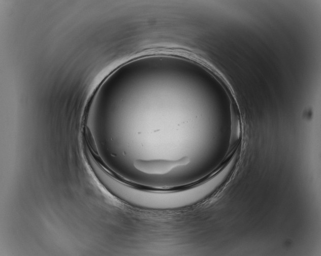 X0000116161533200911231353
